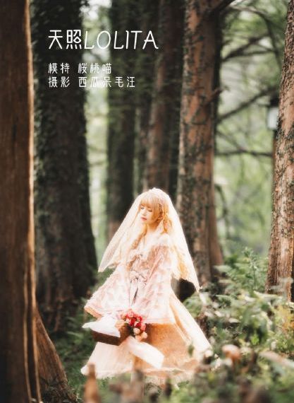 1—40集免费观看在线_电视剧高清在线观看