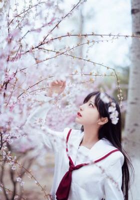 火烧女人的桃花源_超清电影在线看